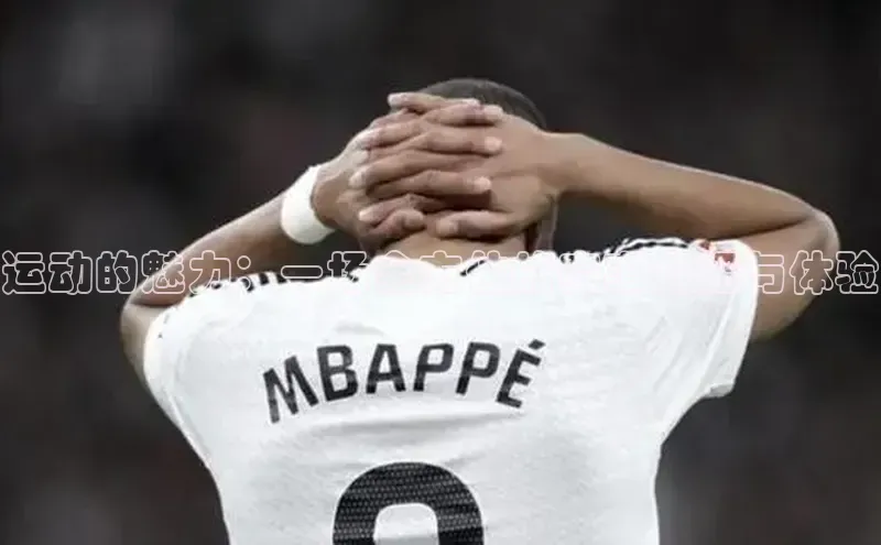 运动的魅力：一场全方位的赛事介绍与体验